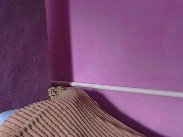 Ornotores_wers webcam