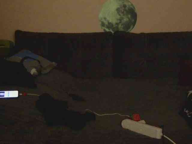 Ornotores_wers webcam