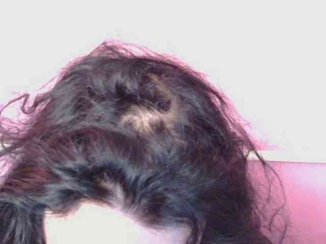 Medjik-lool Medjik-lool