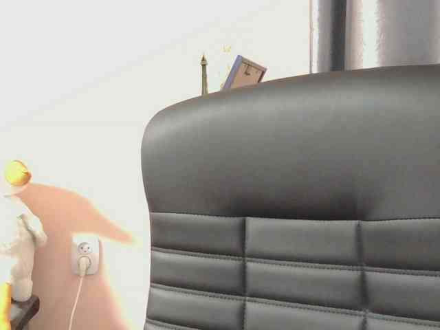 Ornotores_wers webcam