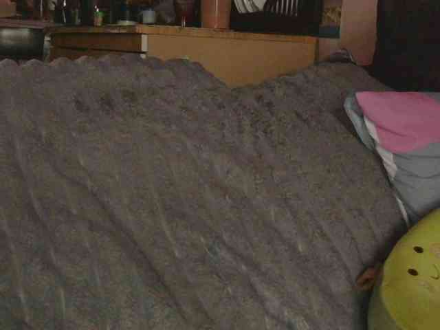 Ornotores_wers webcam