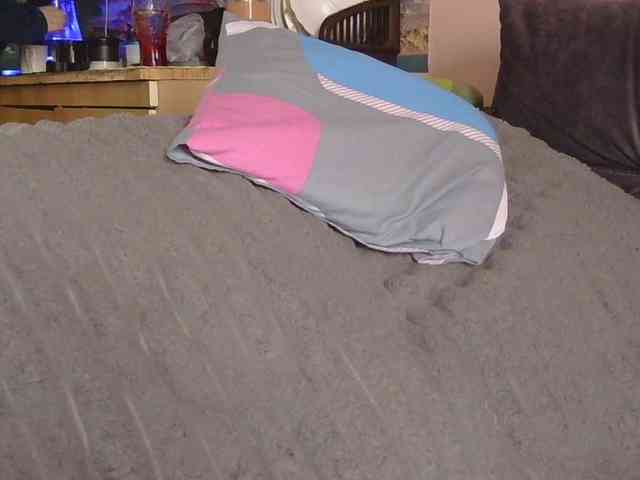 Ornotores_wers webcam