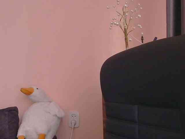 Ornotores_wers webcam