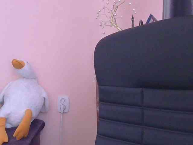 Ornotores_wers webcam