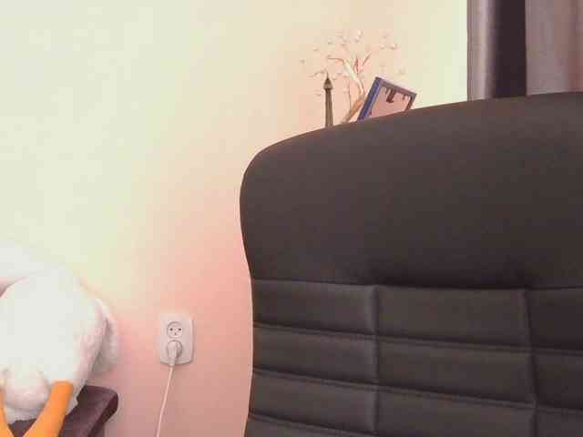 Ornotores_wers webcam