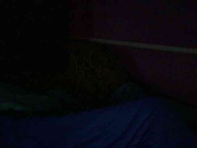 Ornotores_wers webcam