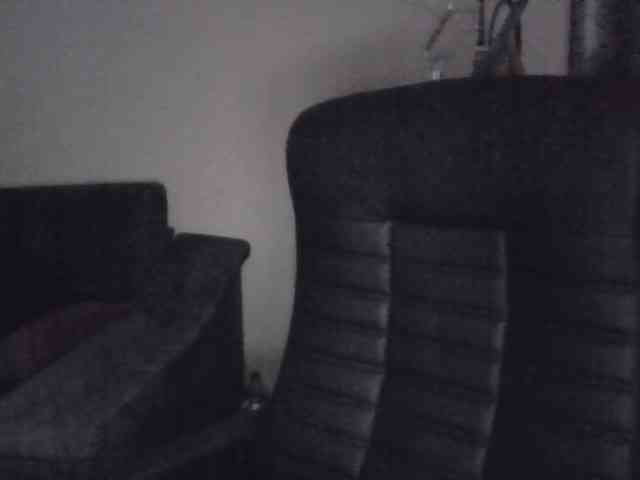 Ornotores_wers webcam