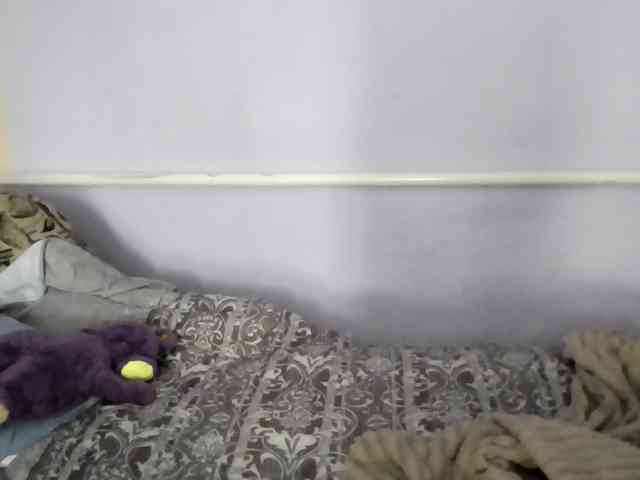 Ornotores_wers webcam