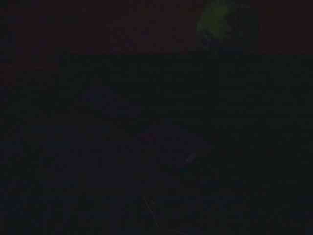 Ornotores_wers webcam