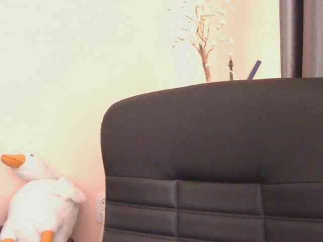 Ornotores_wers webcam