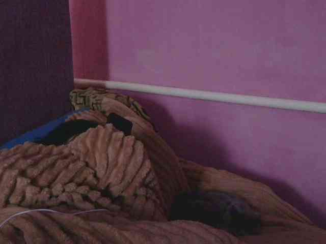 Ornotores_wers webcam