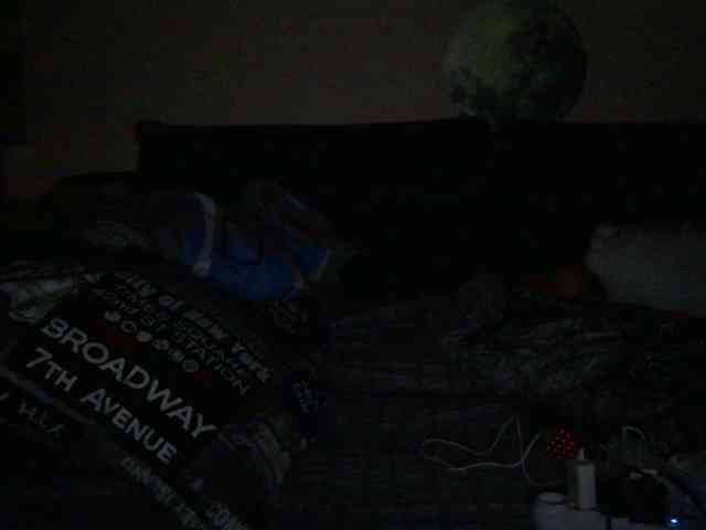 Ornotores_wers webcam