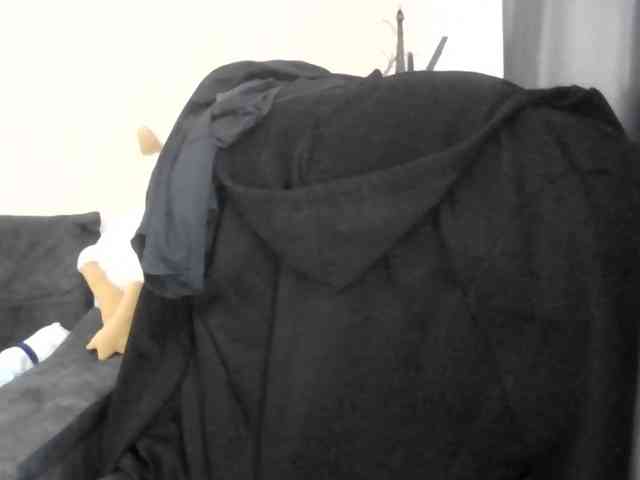 Ornotores_wers webcam