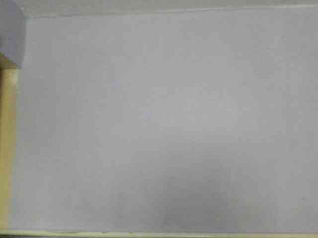 Ornotores_wers webcam