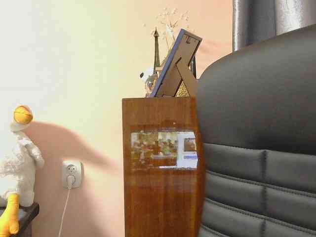 Ornotores_wers webcam