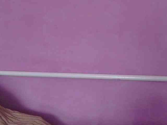 Ornotores_wers webcam