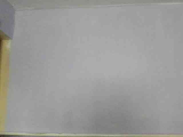 Ornotores_wers webcam
