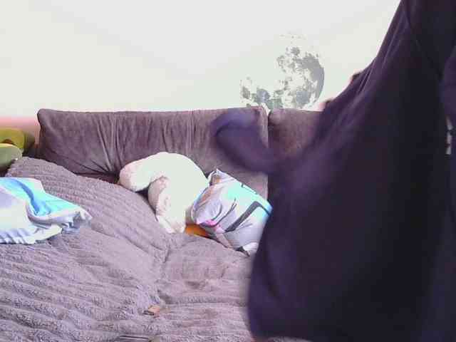 Ornotores_wers webcam