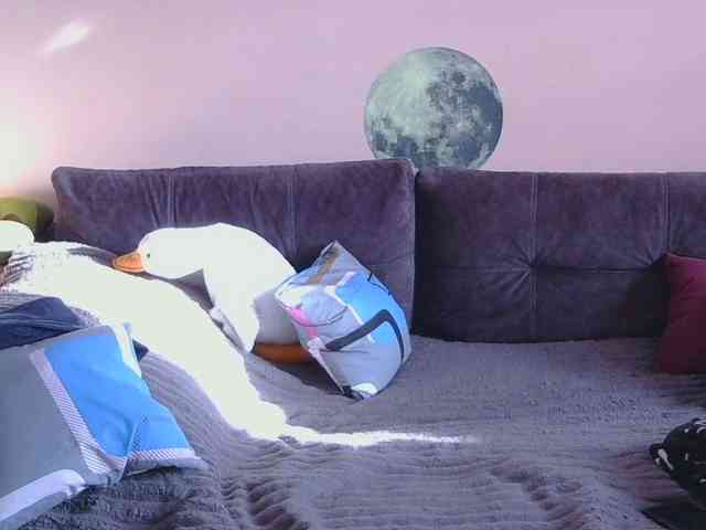 Medjik-lool Live Webcam on BongaCams