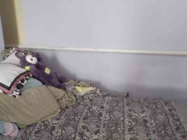 Ornotores_wers webcam