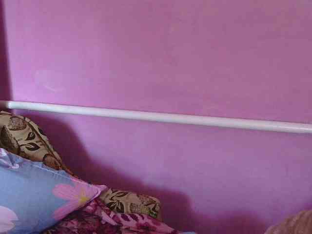 Ornotores_wers webcam