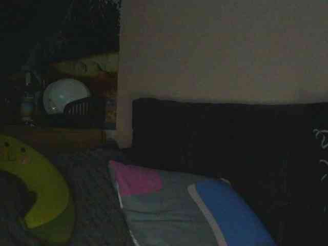 Ornotores_wers webcam