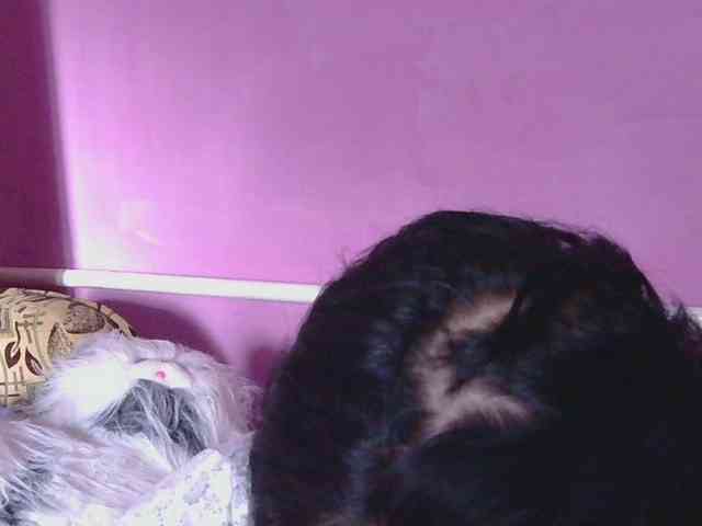 Ornotores_wers webcam