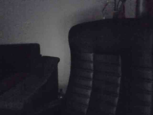 Ornotores_wers webcam