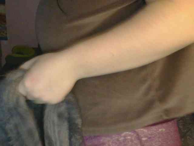 Ornotores_wers webcam