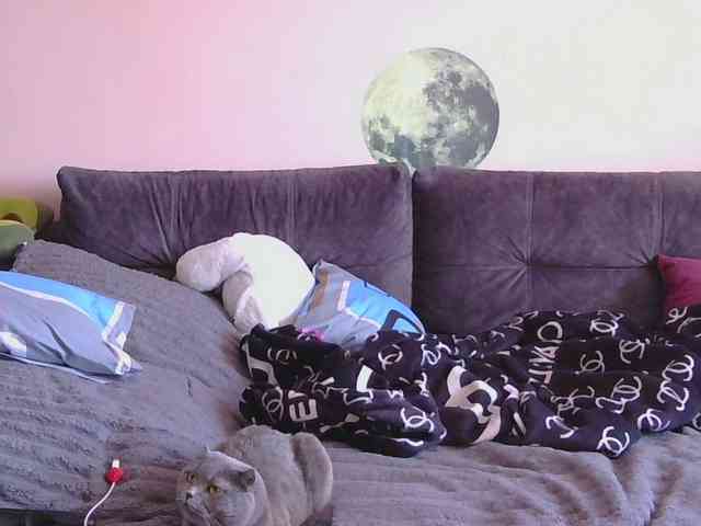 Ornotores_wers webcam