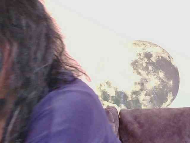 Ornotores_wers webcam