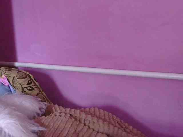 Ornotores_wers webcam