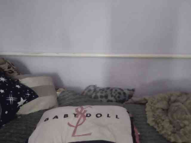 Ornotores_wers webcam