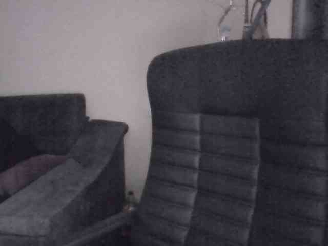 Ornotores_wers webcam