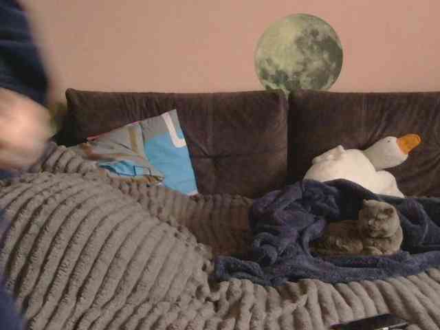 Medjik-lool Live Webcam on BongaCams