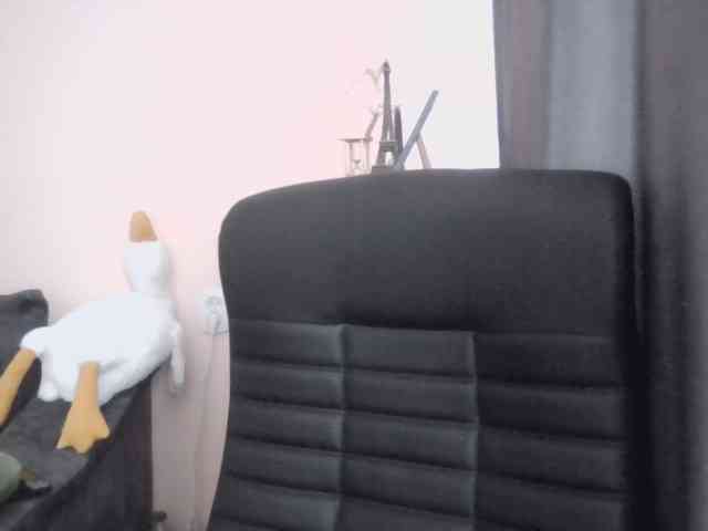 Ornotores_wers webcam