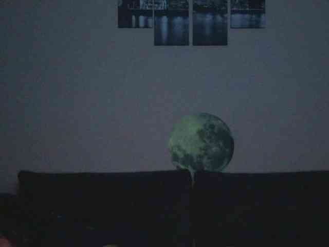 Ornotores_wers webcam