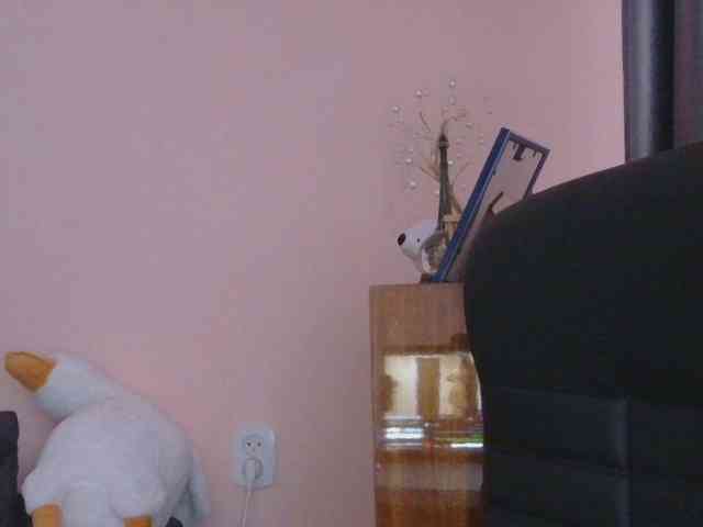 Ornotores_wers webcam