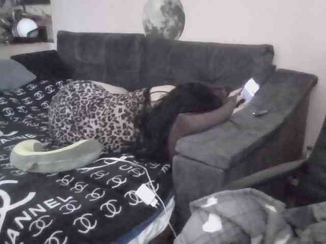 Ornotores_wers webcam