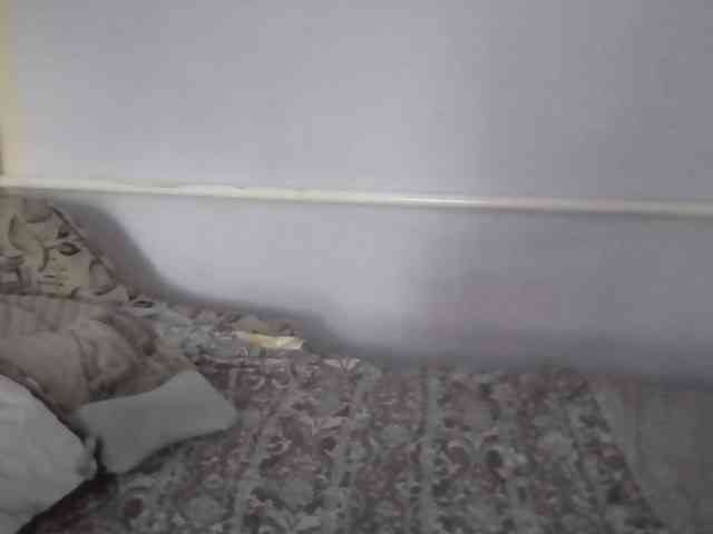 Ornotores_wers webcam