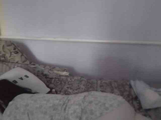 Ornotores_wers webcam