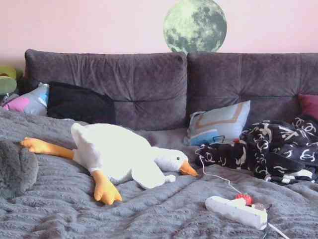 Ornotores_wers webcam