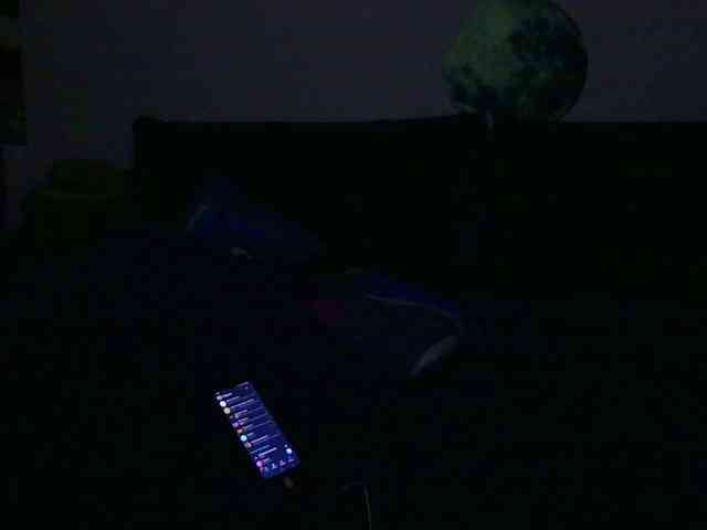 Ornotores_wers webcam