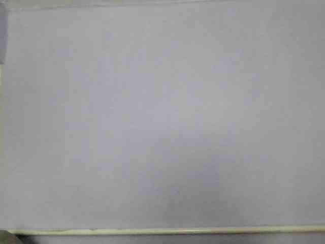 Ornotores_wers webcam