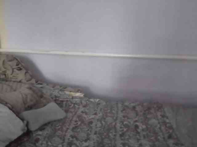 Ornotores_wers webcam