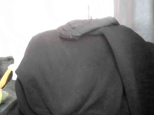 Ornotores_wers webcam