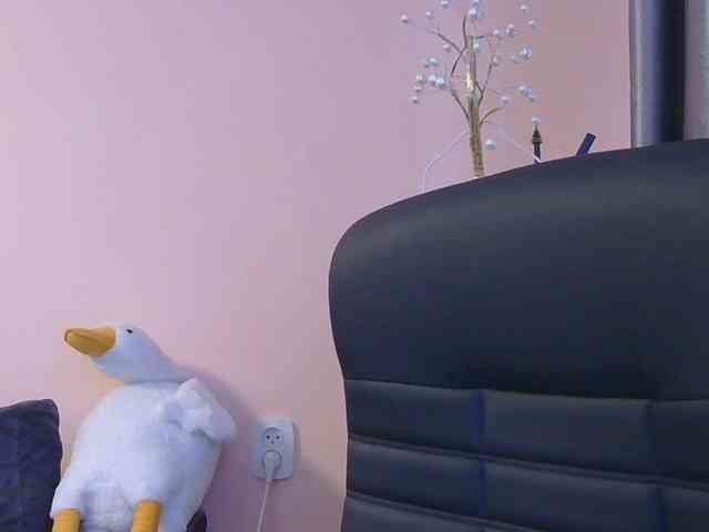 Ornotores_wers webcam