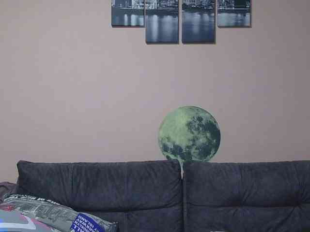 Ornotores_wers webcam