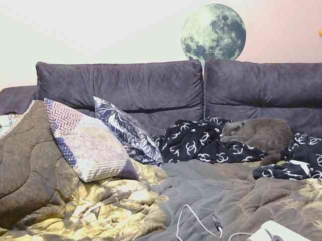 Ornotores_wers webcam