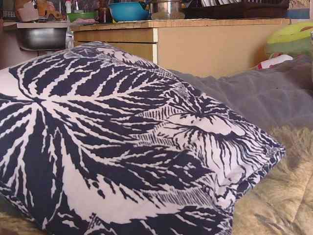 Ornotores_wers webcam